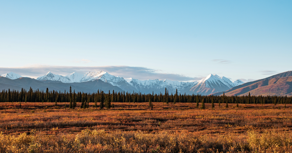 Denali national park in Alaska in the fall
